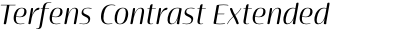 Terfens Contrast Extended Regular Italic